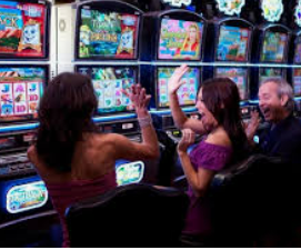 ayx大厅手机版登录入口电脑免费版