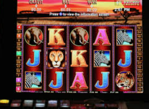 ayx大厅手机版登录入口电脑免费版