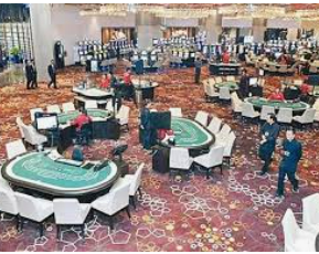 ayx大厅手机版登录入口电脑免费版